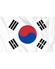 vlag Zuid-Korea, Koreaanse vlag
