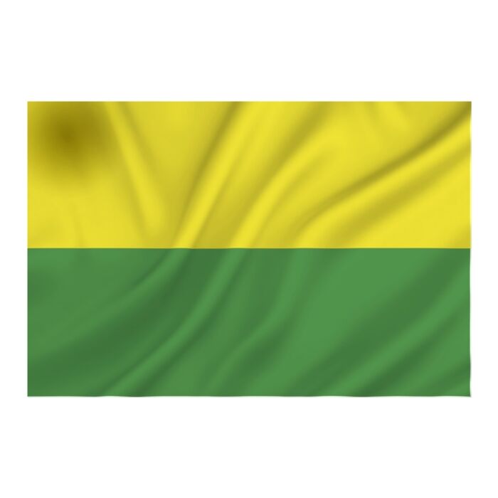 vlag Den Haag 