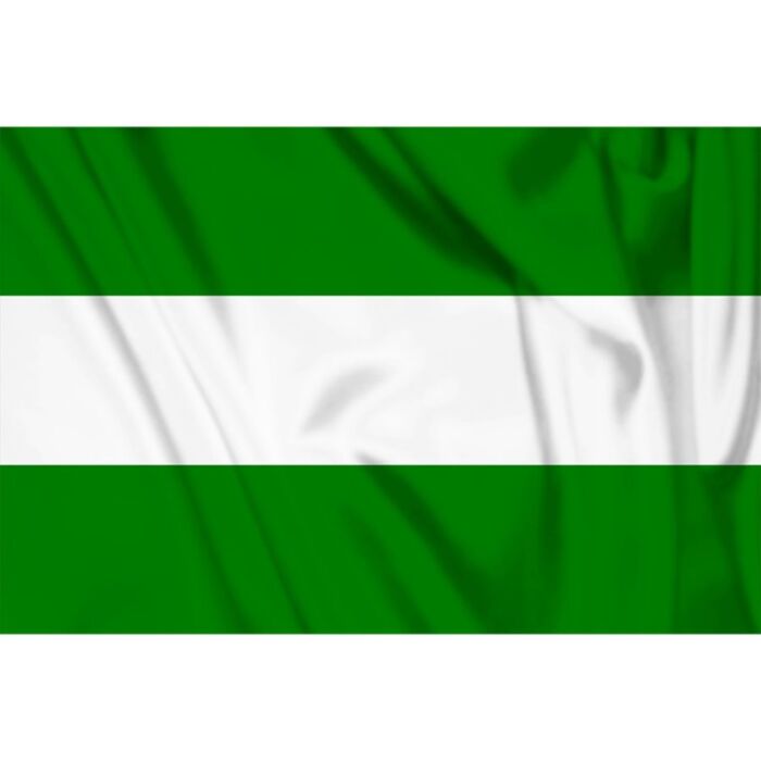 Vlag Rotterdam zonder wapen, Rotterdamse vlag