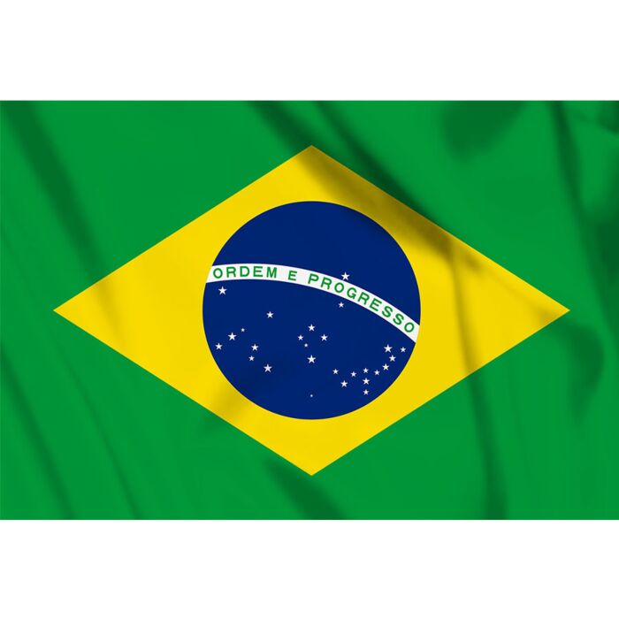 vlag Brazilie, Braziliaanse vlag