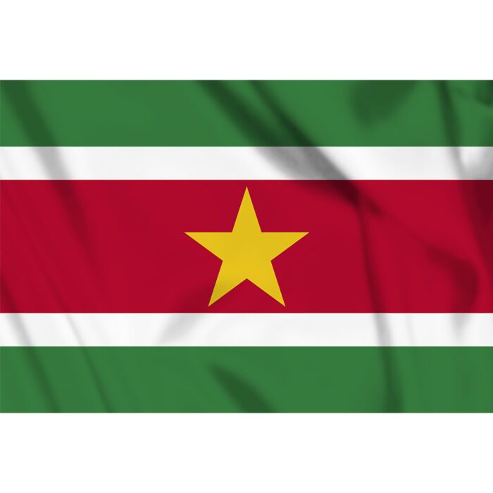 vlag Suriname, Surinaamse vlag