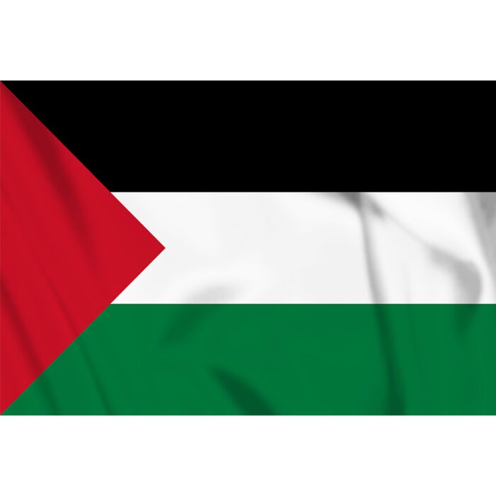 vlag Palestina, Palestijnse vlag
