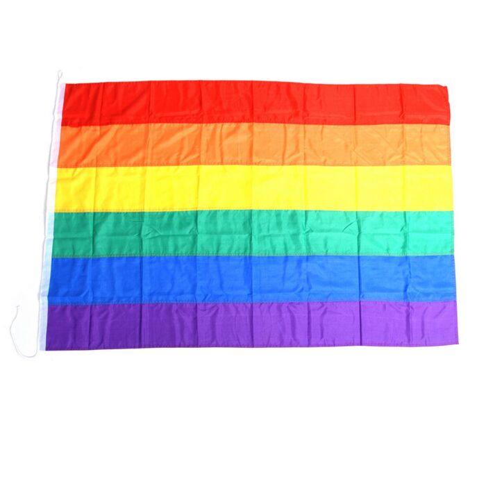 Vlag Regenboog groot