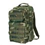 101inc Rugzak US Assault LQ13168A woodland camo