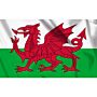 Vlag Wales