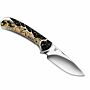 Buck Outdoormes Painted Pony Ranger Skinner 