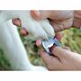 Nite Ize DoohicKey Pet Multitool 