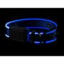 Nite Ize NiteDog LED Halsband Oplaad blauw s