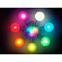 Nite Ize Pet SpotLit Halsbandlamp Disco