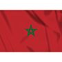 vlag Marokko, Marokkaanse vlag