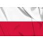 vlag Polen, Poolse vlag