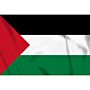 vlag Palestina, Palestijnse vlag
