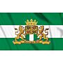 Vlag Rotterdam met wapen, Rotterdamse vlag