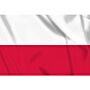 vlag Polen, Poolse vlag