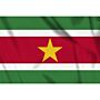 vlag Suriname, Surinaamse vlag