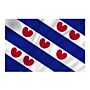vlag Friesland, Friese vlag, Fryslan