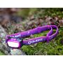 Olight H05 Lite Roze