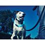 Nite Ize NiteHowl LED Halsband Blauw 