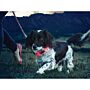 Nite Ize NiteDawg Halsband Rood S 