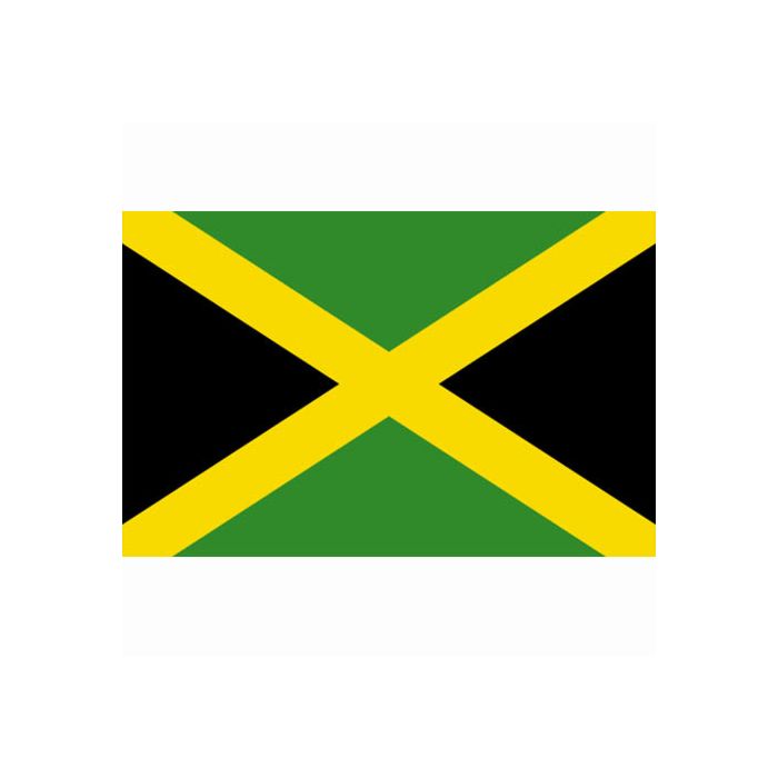 Vlag Jamaica, Jamaicaanse vlag