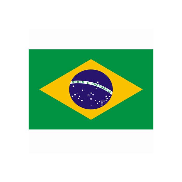 vlag Brazilie, Braziliaanse vlag