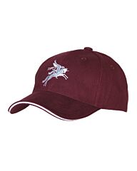 101inc Baseball cap Pegasus