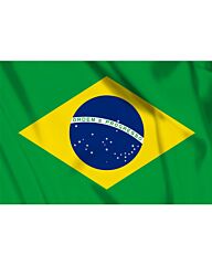 vlag Brazilie, Braziliaanse vlag