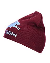 Fostex Beanie Airborne Pegasus bordo