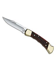 Buck Zakmes 110 Folding Hunter FG 